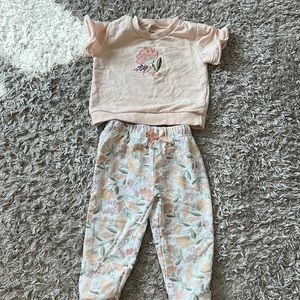 Chick pea 18 m